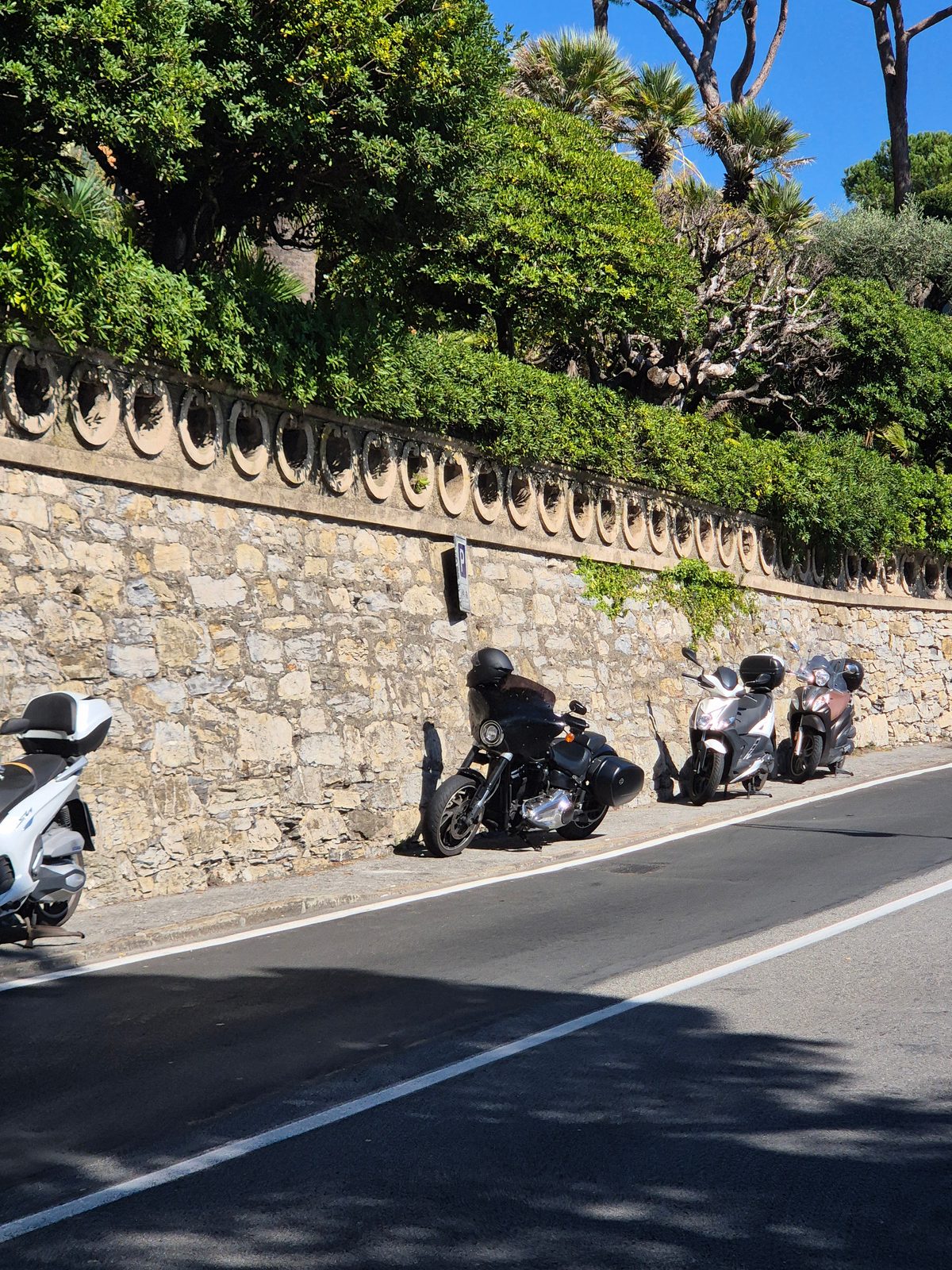 Motorcycles and scooters parked along a stone wall on a sunny street lined with trees.