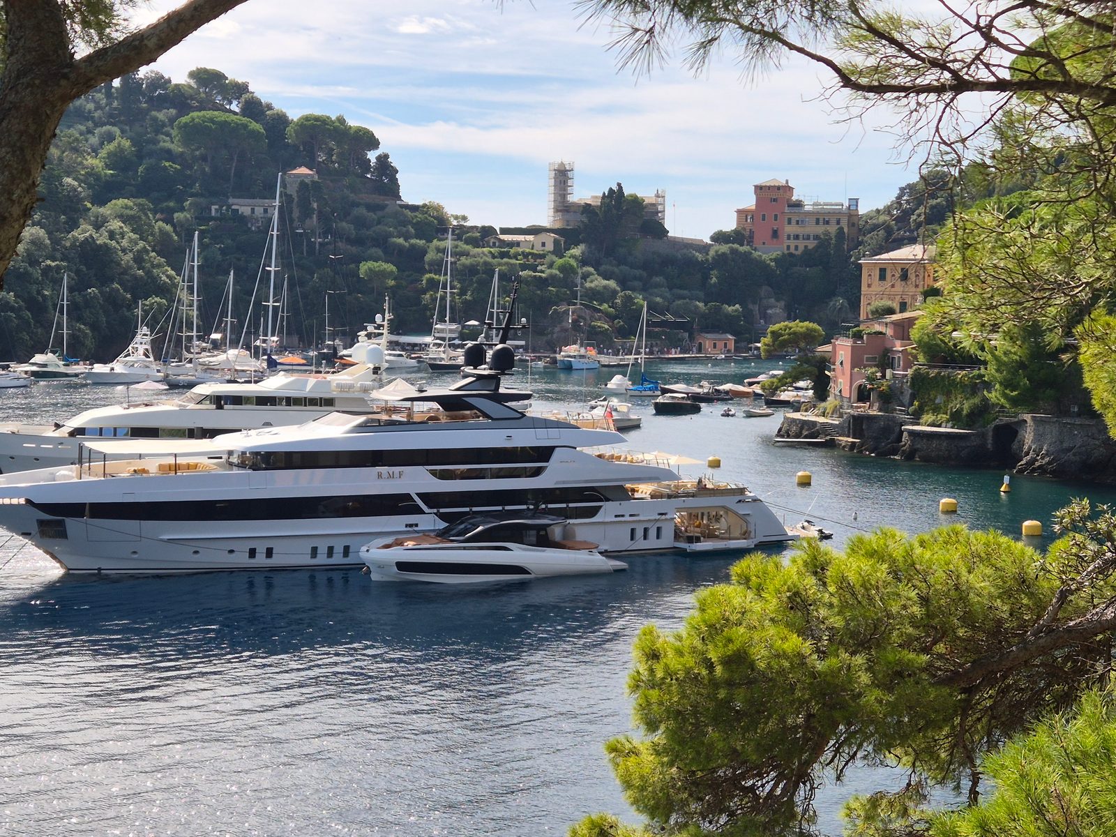 View through pine trees of superyachts and sailing boats moored in a sheltered Italian harbour with colourful hillside villas.