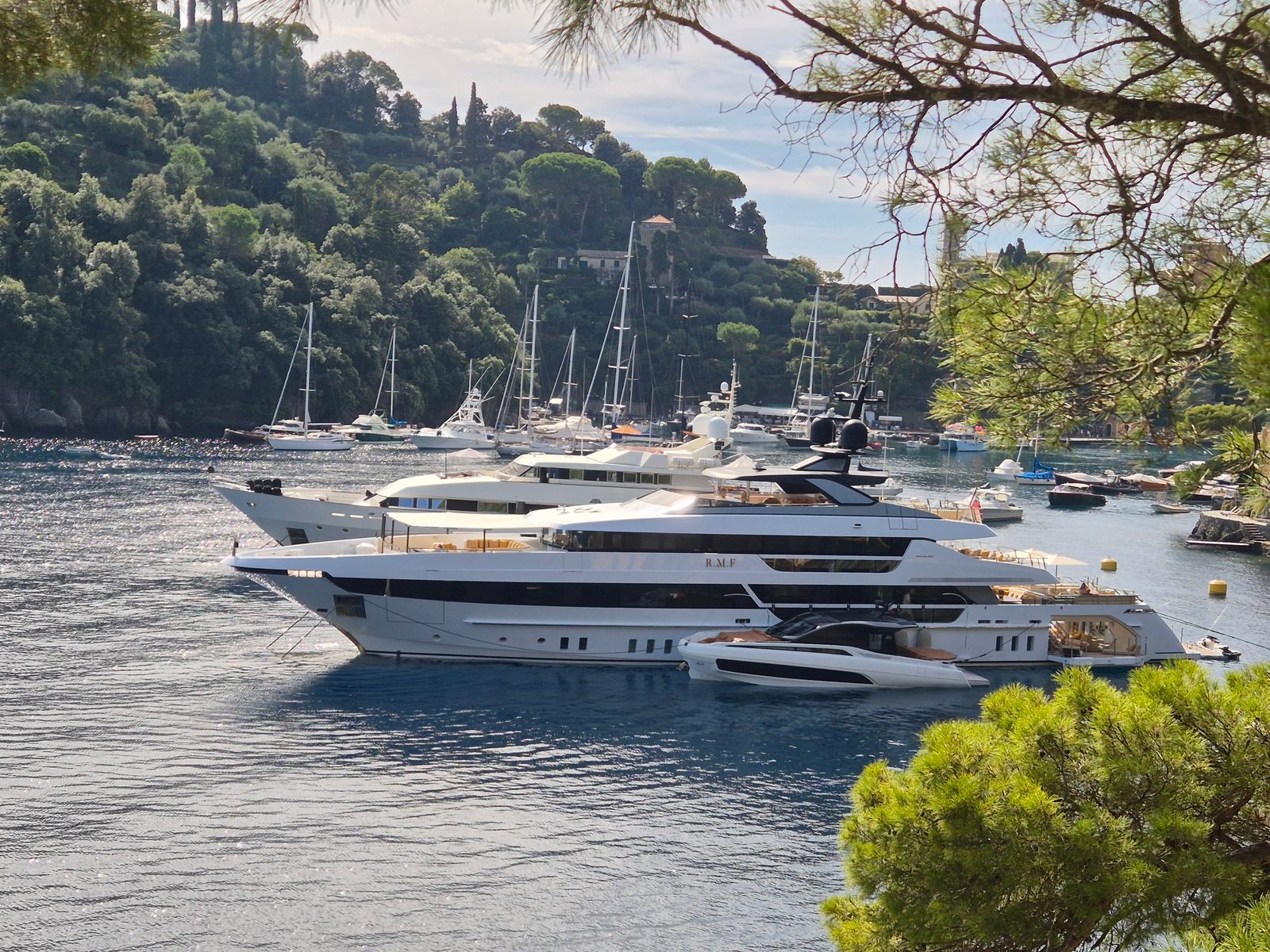 Large white yachts moored in a sheltered bay with wooded hills and smaller sailing boats behind.